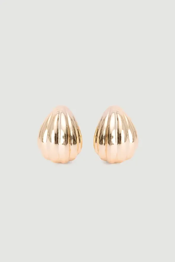 Deniz Kabuğu Küpe - Gold - 1